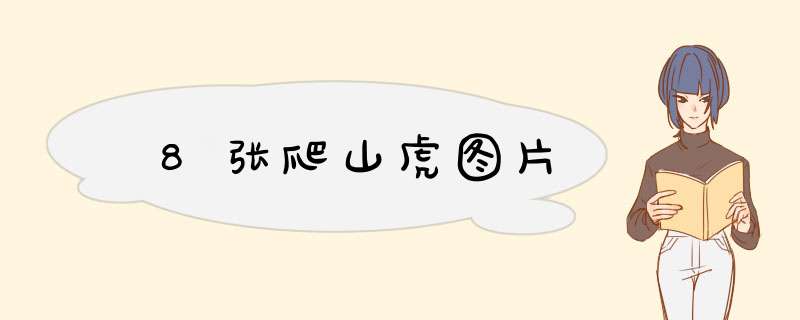  8张爬山虎图片